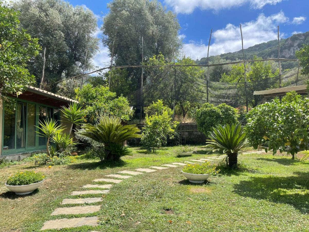 Casa Sorrento, Immerso Nel Verde A Pochi Passi Dal Centro Luaran gambar
