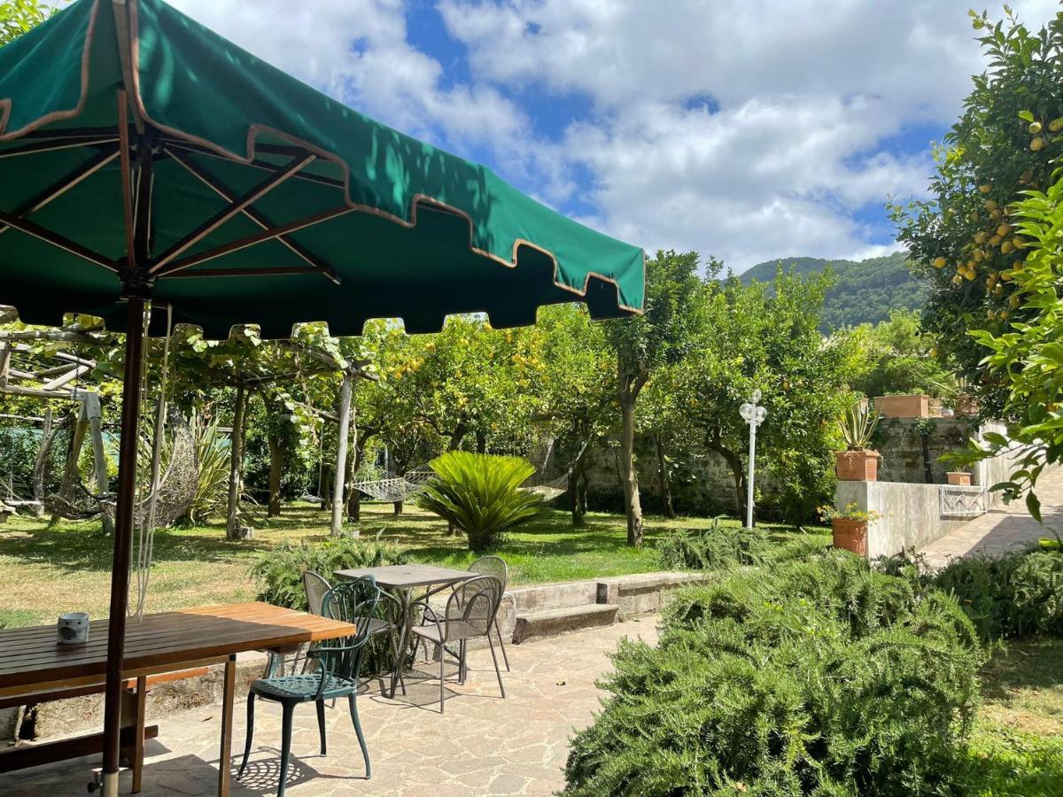 Casa Sorrento, Immerso Nel Verde A Pochi Passi Dal Centro Luaran gambar